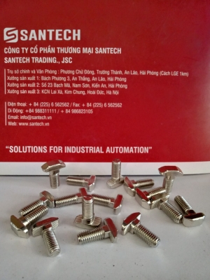 BULONG BÚA T M8x25mm